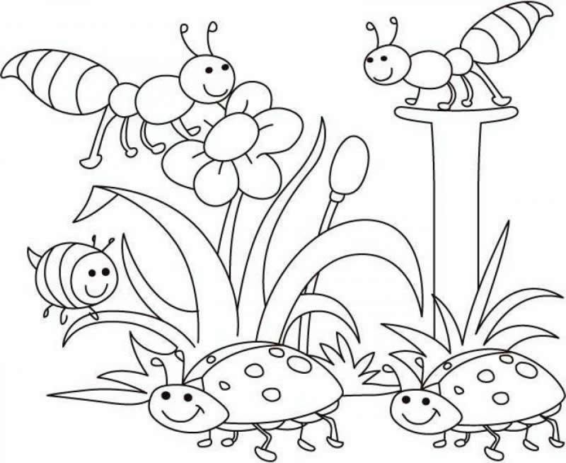 Coloring page: Spring season (Nature) #164755 - Free Printable Coloring Pages