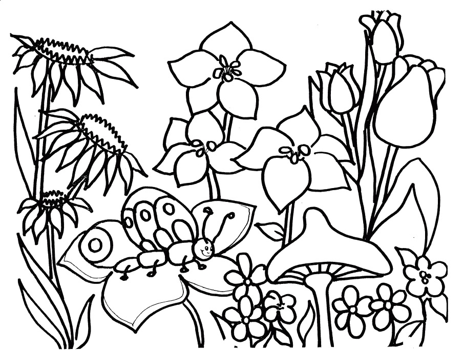 Coloring page: Spring season (Nature) #164766 - Free Printable Coloring Pages