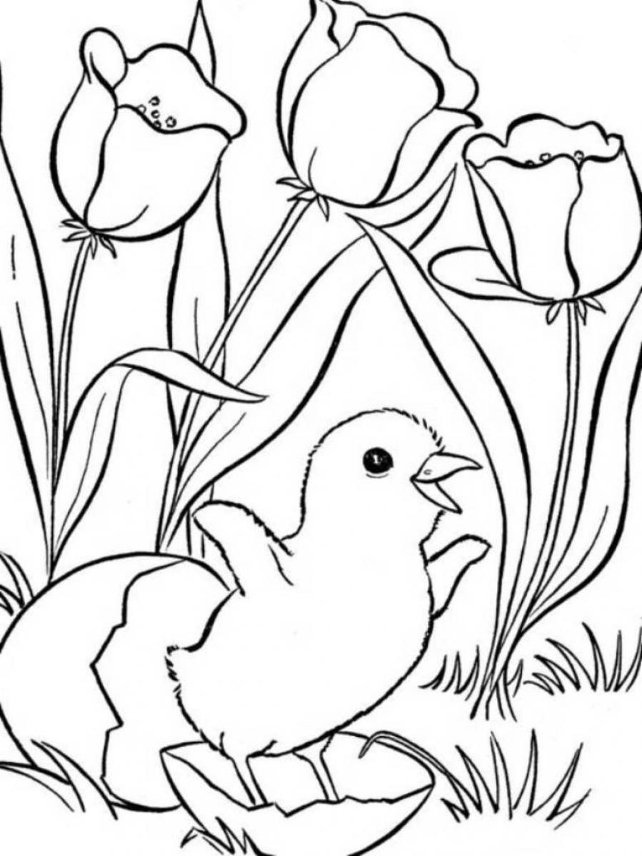 Drawing Spring season 20 Nature – Printable coloring pages