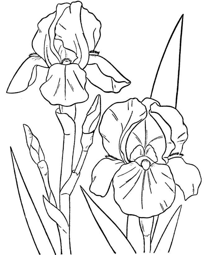 Coloring page: Spring season (Nature) #164823 - Free Printable Coloring Pages