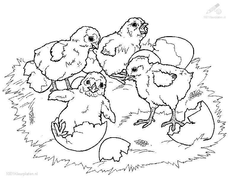 Coloring page: Spring season (Nature) #164840 - Free Printable Coloring Pages