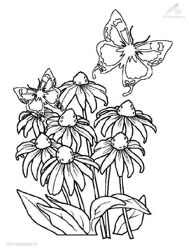 Coloring page: Spring season (Nature) #164854 - Free Printable Coloring Pages