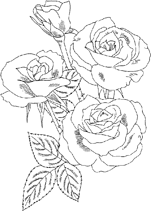 Coloring page: Spring season (Nature) #164899 - Free Printable Coloring Pages