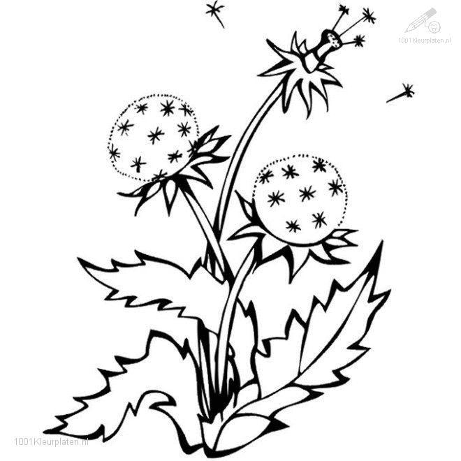 Coloring page: Spring season (Nature) #164934 - Free Printable Coloring Pages
