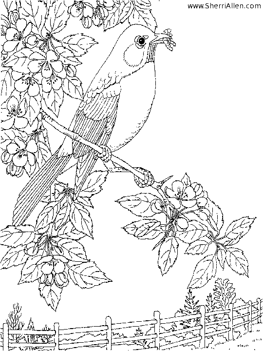 Coloring page: Spring season (Nature) #164967 - Free Printable Coloring Pages