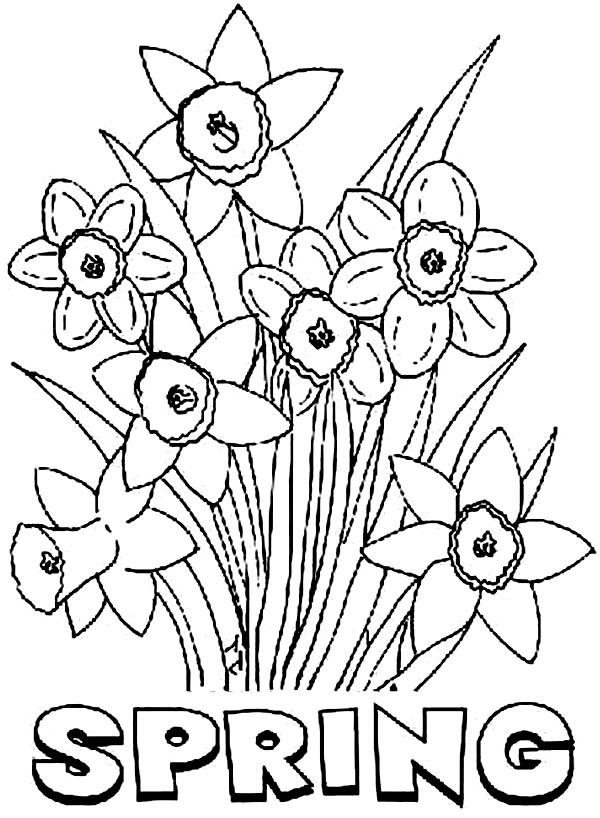spring flower printable coloring pages