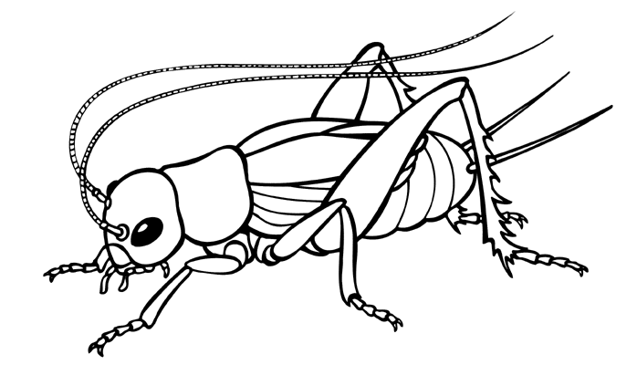 Coloring page: Spring season (Nature) #165001 - Free Printable Coloring Pages