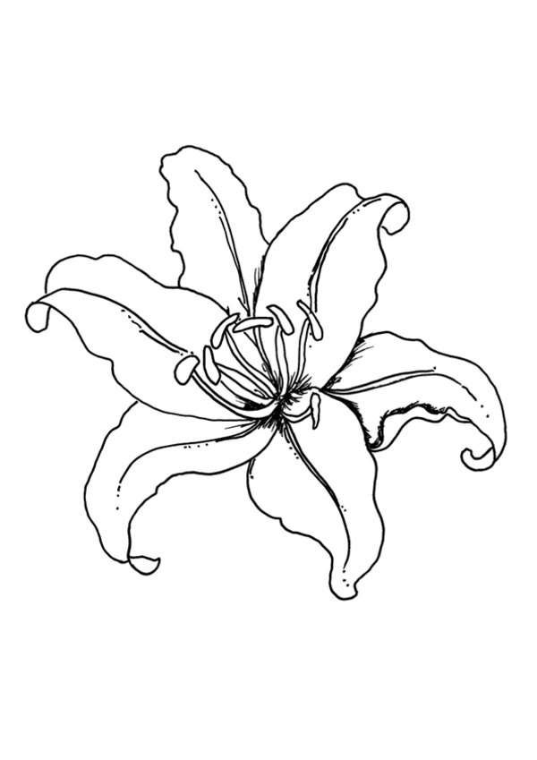 Coloring page: Spring season (Nature) #165008 - Free Printable Coloring Pages