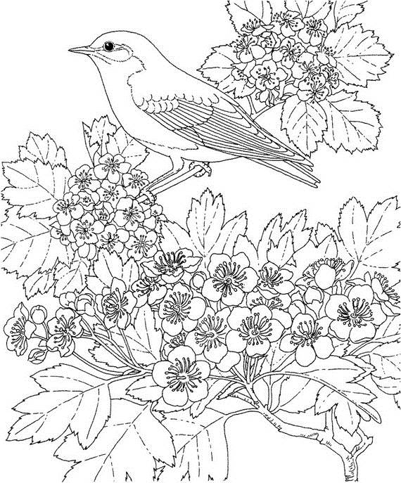 Coloring page: Spring season (Nature) #165058 - Free Printable Coloring Pages