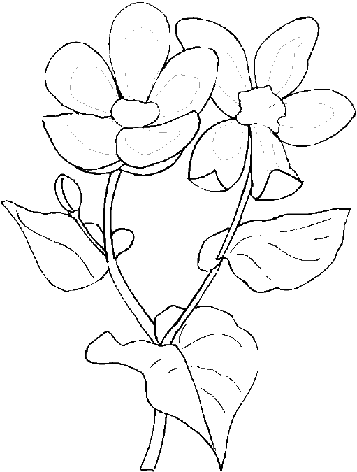 Coloring page: Spring season (Nature) #165076 - Free Printable Coloring Pages