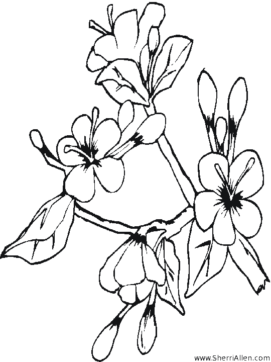 Coloring page: Spring season (Nature) #165094 - Free Printable Coloring Pages