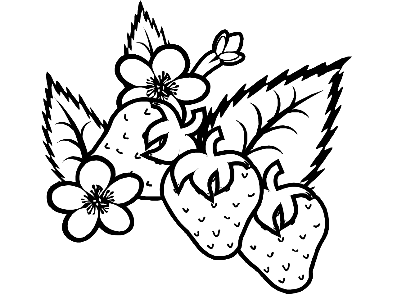 Coloring page: Summer season (Nature) #165116 - Free Printable Coloring Pages