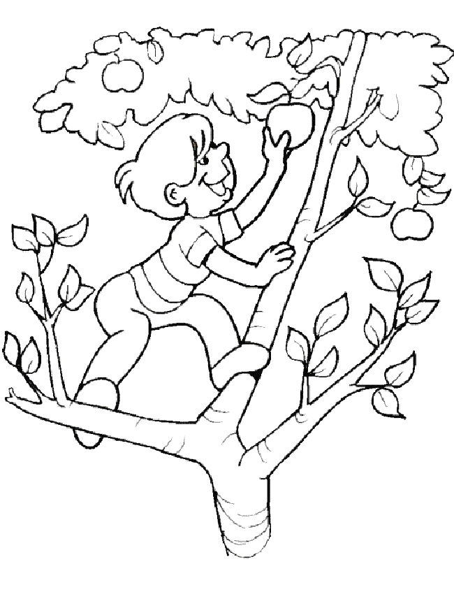 Coloring page: Summer season (Nature) #165236 - Free Printable Coloring Pages