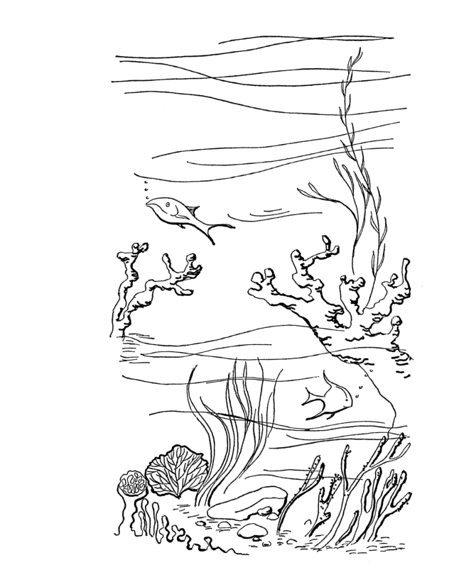 Coloring page: Summer season (Nature) #165257 - Free Printable Coloring Pages