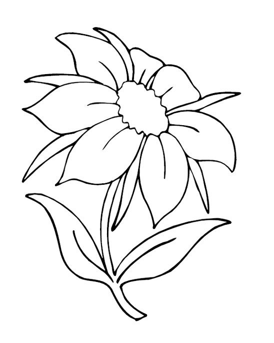 Coloring page: Summer season (Nature) #165348 - Free Printable Coloring Pages