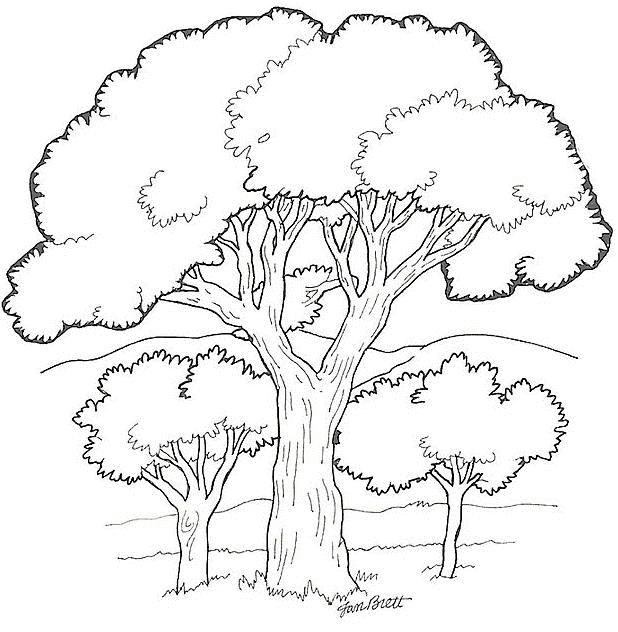 Coloring page: Tree (Nature) #154679 - Free Printable Coloring Pages