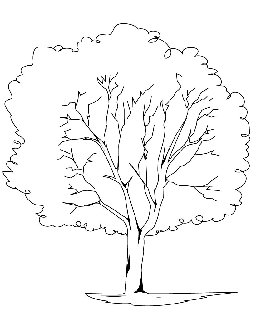 Coloring page: Tree (Nature) #154693 - Free Printable Coloring Pages