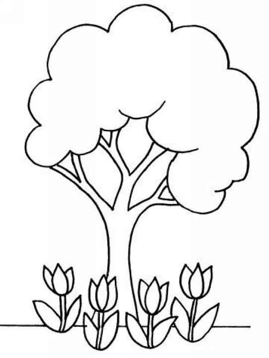 Coloring page: Tree (Nature) #154698 - Free Printable Coloring Pages