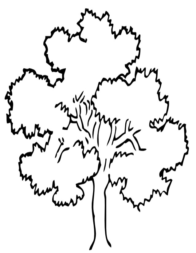 Coloring page: Tree (Nature) #154701 - Free Printable Coloring Pages