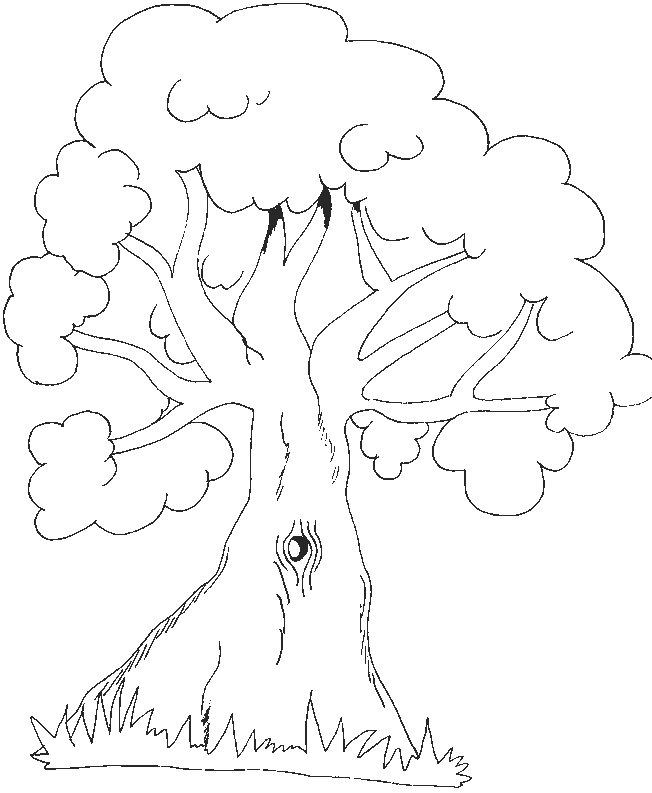Coloring page: Tree (Nature) #154736 - Free Printable Coloring Pages