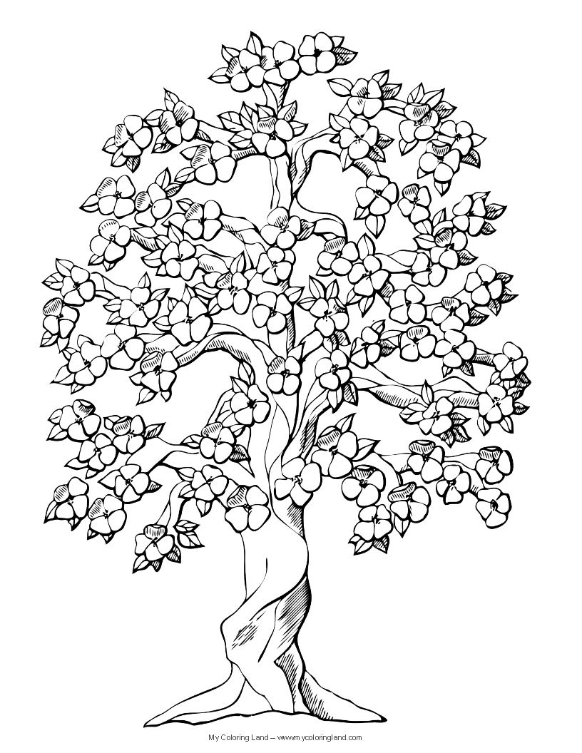 Coloring page: Tree (Nature) #154739 - Free Printable Coloring Pages