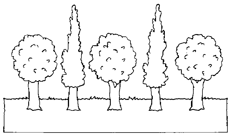 Coloring page: Tree (Nature) #154752 - Free Printable Coloring Pages