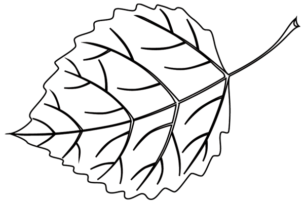 Coloring page: Tree (Nature) #154753 - Free Printable Coloring Pages
