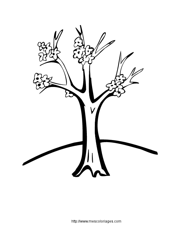 Coloring page: Tree (Nature) #154761 - Free Printable Coloring Pages