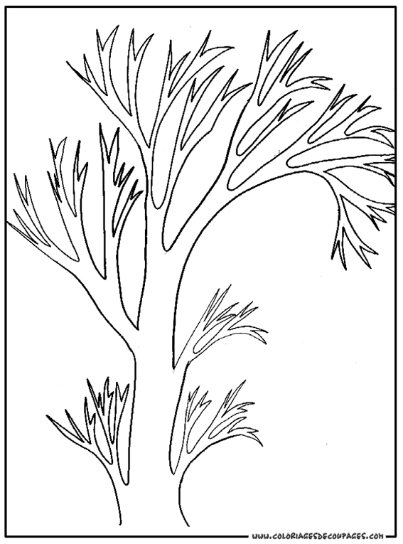 Coloring page: Tree (Nature) #154788 - Free Printable Coloring Pages