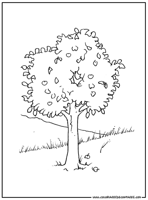 Coloring page: Tree (Nature) #154804 - Free Printable Coloring Pages