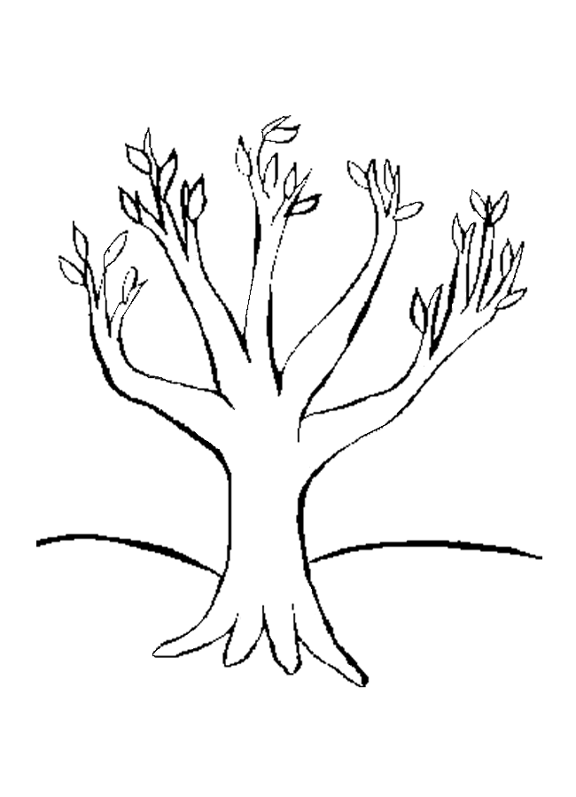 Coloring page: Tree (Nature) #154810 - Free Printable Coloring Pages