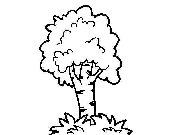Coloring page: Tree (Nature) #154819 - Free Printable Coloring Pages