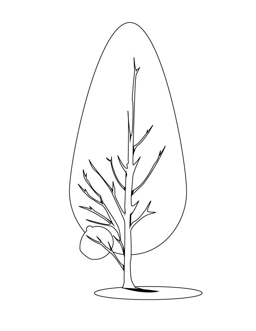 Coloring page: Tree (Nature) #154824 - Free Printable Coloring Pages