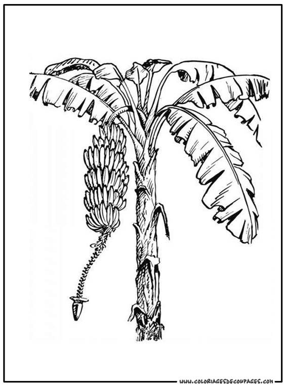 Tree #154838 (Nature) – Free Printable Coloring Pages