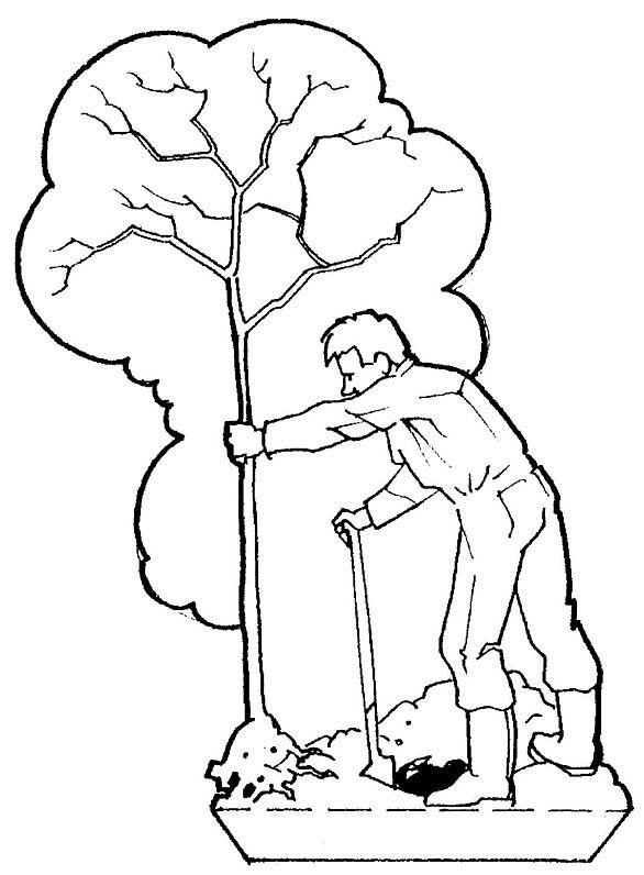 Coloring page: Tree (Nature) #154874 - Free Printable Coloring Pages