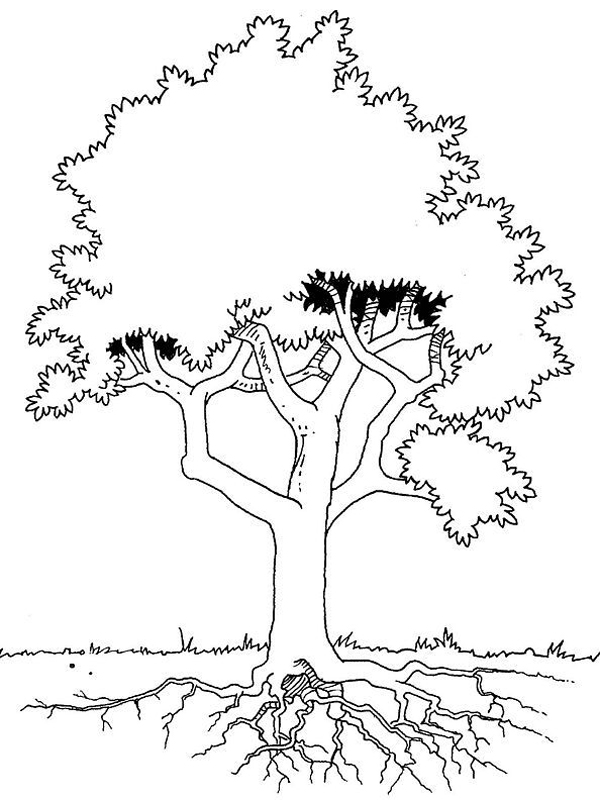 Coloring page: Tree (Nature) #154887 - Free Printable Coloring Pages