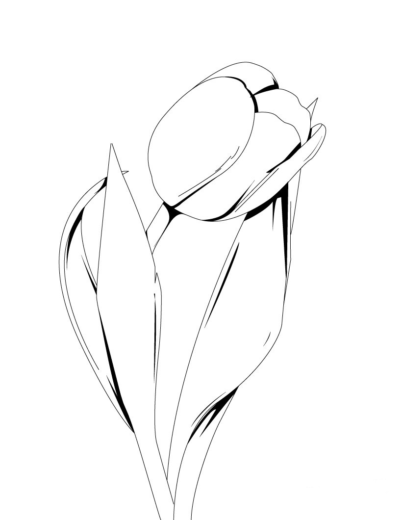 Coloring page: Tulip (Nature) #161615 - Free Printable Coloring Pages