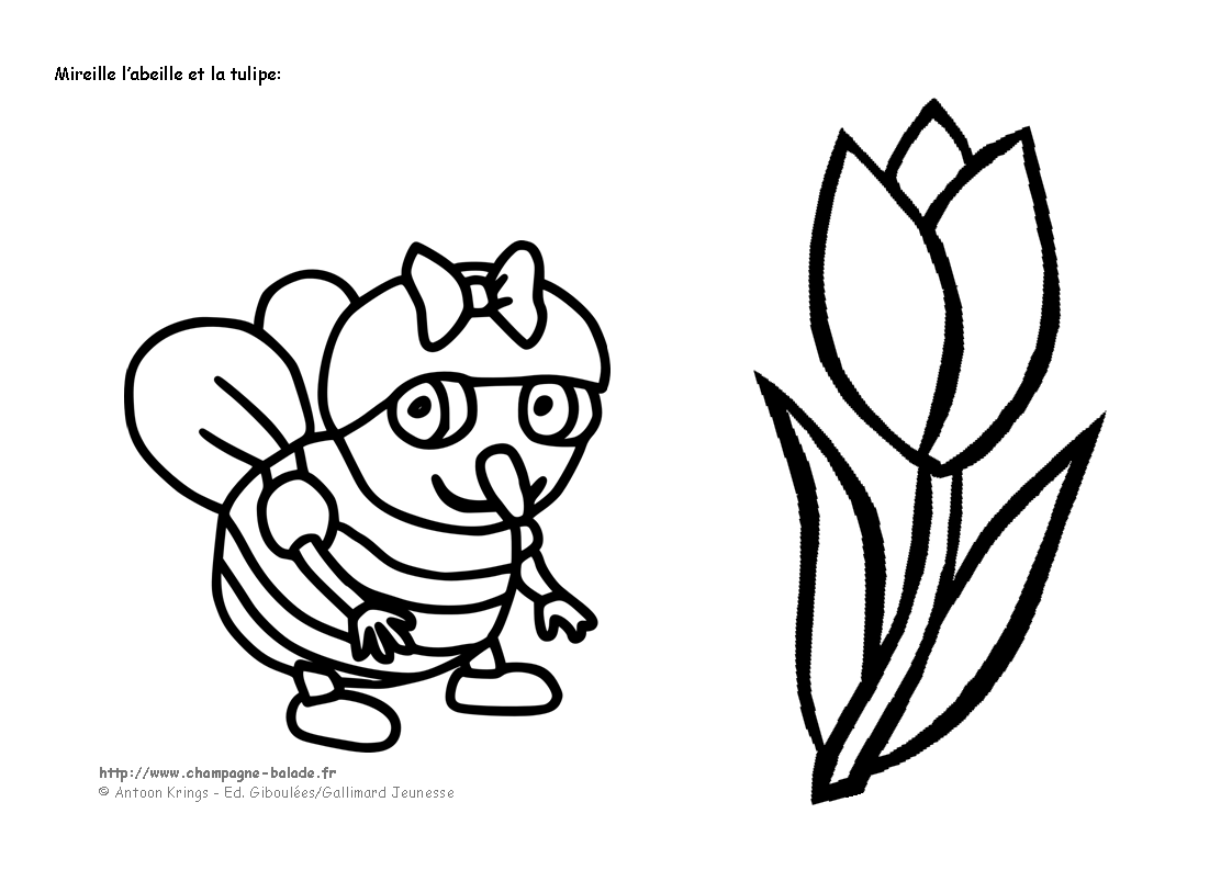 Coloring page: Tulip (Nature) #161620 - Free Printable Coloring Pages