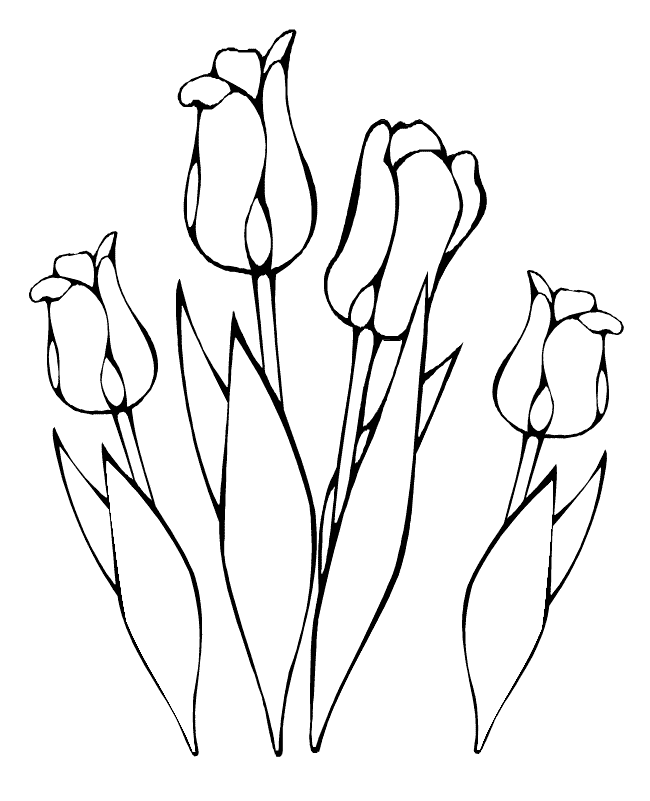 Coloring page: Tulip (Nature) #161632 - Free Printable Coloring Pages