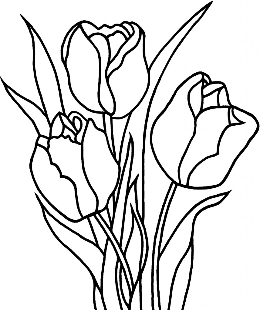 Coloring page: Tulip (Nature) #161634 - Free Printable Coloring Pages