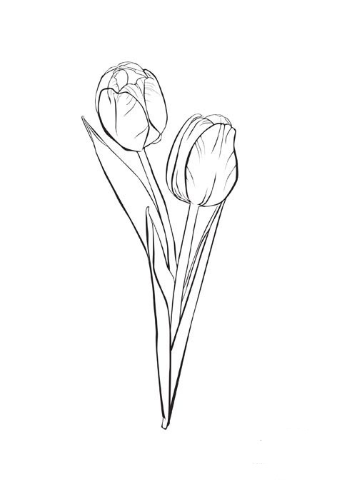 Coloring page: Tulip (Nature) #161635 - Free Printable Coloring Pages