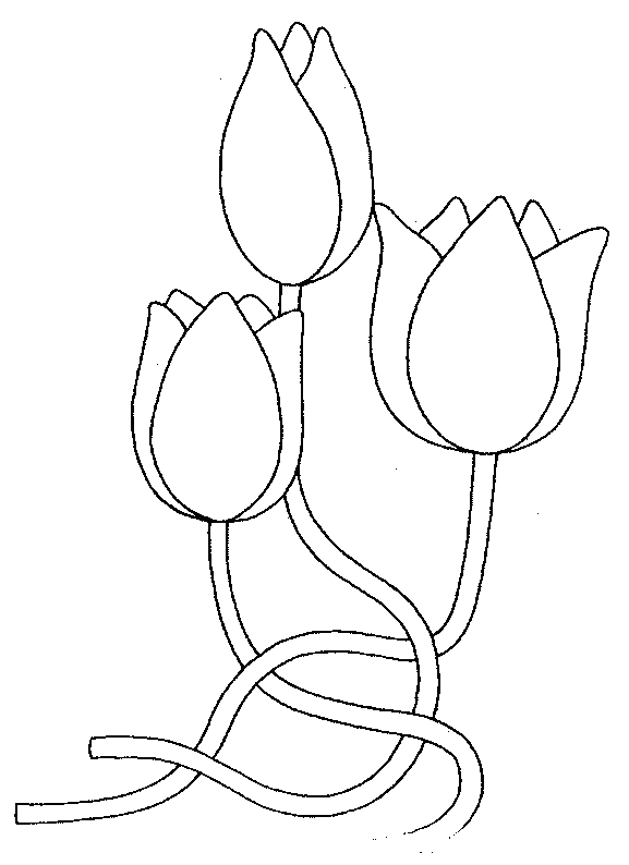 Coloring page: Tulip (Nature) #161639 - Free Printable Coloring Pages