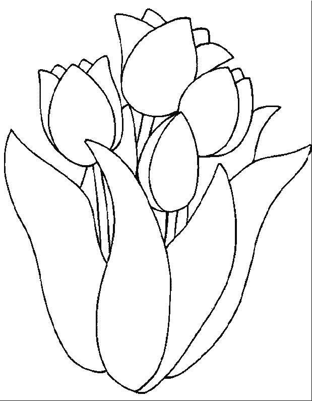 Coloring page: Tulip (Nature) #161642 - Free Printable Coloring Pages