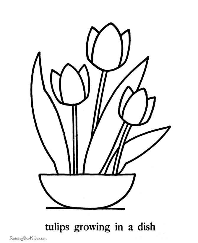 Coloring page: Tulip (Nature) #161646 - Free Printable Coloring Pages