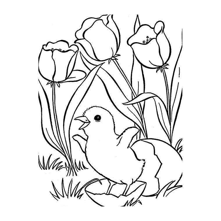 Coloring page: Tulip (Nature) #161650 - Free Printable Coloring Pages