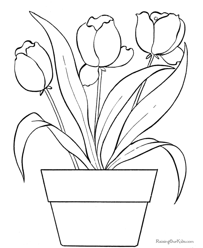 Coloring page: Tulip (Nature) #161661 - Free Printable Coloring Pages