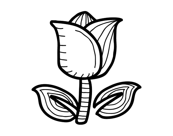 Coloring page: Tulip (Nature) #161664 - Free Printable Coloring Pages