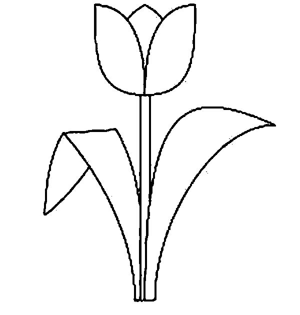 Coloring page: Tulip (Nature) #161668 - Free Printable Coloring Pages