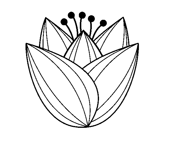 Coloring page: Tulip (Nature) #161681 - Free Printable Coloring Pages