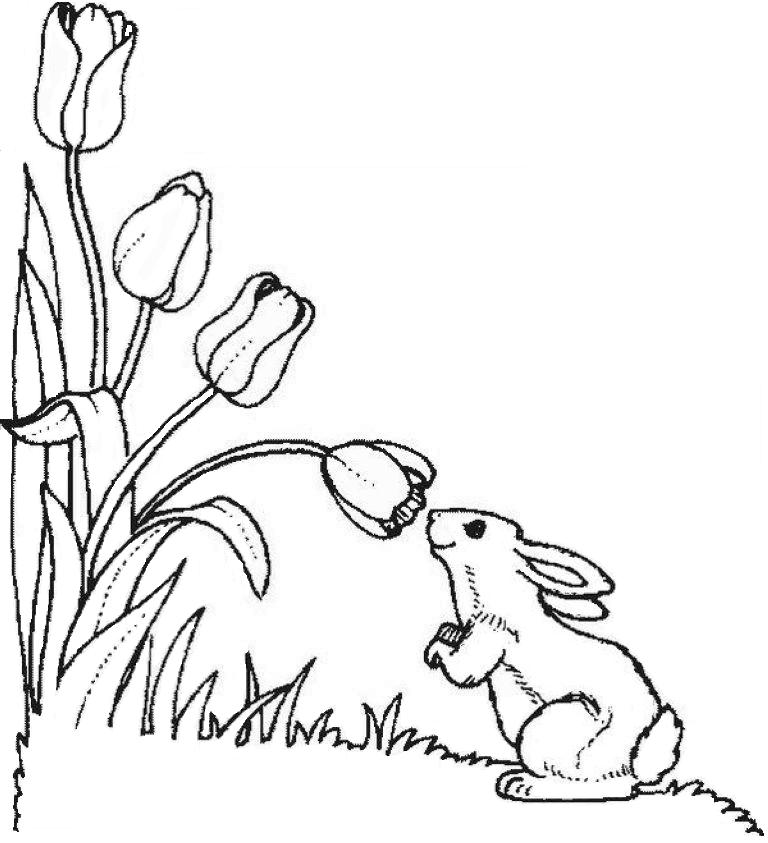 Coloring page: Tulip (Nature) #161693 - Free Printable Coloring Pages